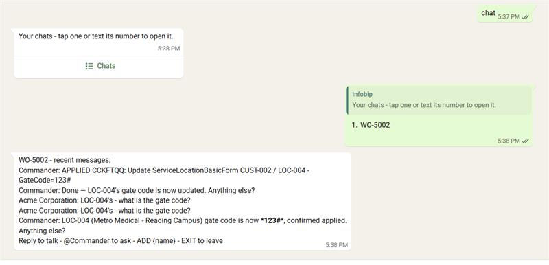 The Commander in chat
